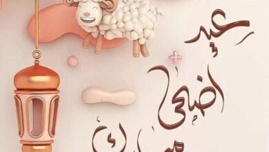 عبارات تهنئة