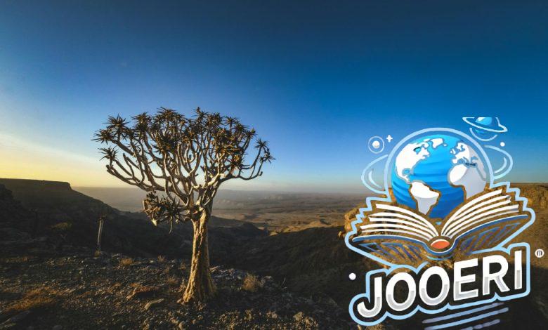 أمثال وحكم من القارة السمراء عن الحياة تزخر بالحكمة الشعرية