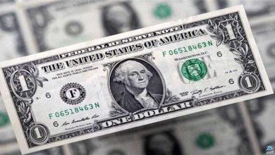 الأخضر بكام النهاردة؟.. سعر الدولار في مصر اليوم الثلاثاء 19 - 11 - 2024