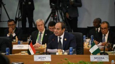 الرئيس السيسي: لا سبيل لمكافحة الجوع والفقر إلا بإقامة شراكات دولية مع الدول النامية