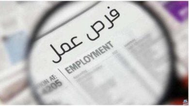 بمرتبات تبدأ من 4000 جنيه.. وظائف بشركة شعاع لقراءة عدادات الكهرباء (اعرف الأوراق المطلوبة)