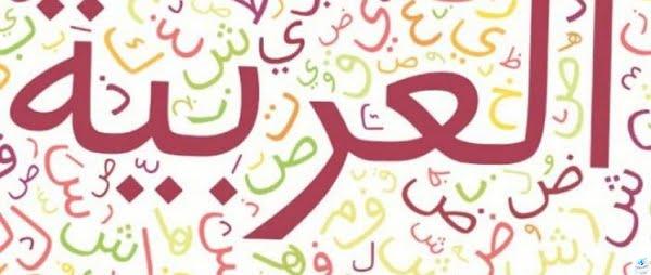 دروس الوحدة الثانية