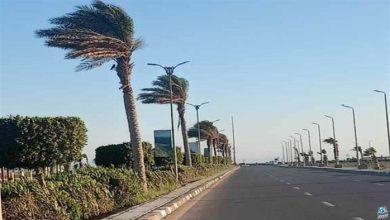 شبورة ورياح.. «الأرصاد» تكشف حالة الطقس خلال الفترة المقبلة