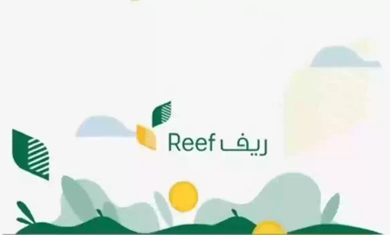 كيف تستفيد من برنامج دعم الريف؟ خطوات الاستعلام وأهم القطاعات المؤهلة