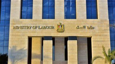 وزارة العمل: ورشة عمل حول ريادة الأعمال لخريجي مراكز التدريب المهني بمحافظة الأقصر
