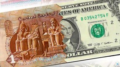 90 قرشًا.. تراجع سعر الدولار رسميًا الآن في البنوك إلى أقل مستوى منذ شهر