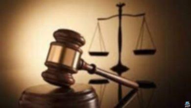 الإعـ.دام شنـ.قا للمتهمين بقـ.تل طفـ.ل لسرقة التوك توك بالقليوبية