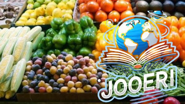 الصادرات الزراعية المصرية «إنجاز» يعكس جهود الدولة لتطوير القطاع