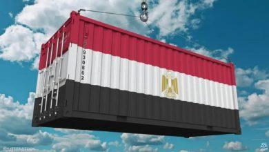 فرصة لتعزيز التنافسية الدولية.. الصادرات المصرية تسجل قفزة جديدة