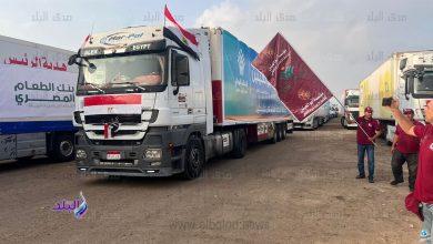 مصر عطاء لا ينقطع هاشتاج يتصدر ترند "إكس".. ما القصة؟
