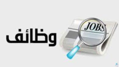 وظائف شركة الكهرباء .. اعرف الشروط وطريقة التقديم
