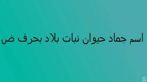 اكتشف روعة بلاد بحرف الضاد: رحلة عبر التاريخ والثقافة والهوية