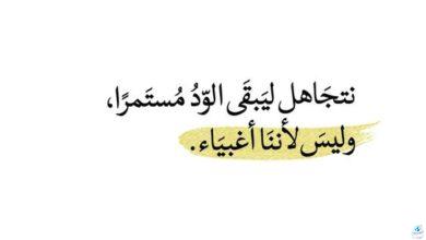 عبارات تكتب على الصور الشخصية للشباب سرسجية