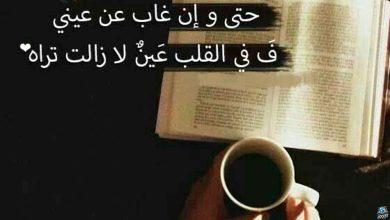 كلام يكتب على الصور الشخصية للفيس بوك 2025: أفكار إبداعية تعبر عن شخصيتك