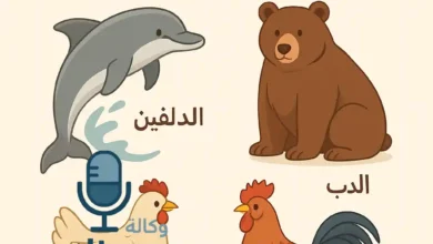 حيوان بحرف الدال
