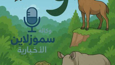 موسوعة حيوانات بحرف الواو: أسماء وصفات مذهلة تعرف عليها الآن