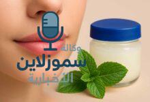 فوائد وصفة النعناع والفازلين لتفتيح الشفايف بطريقة طبيعية وآمنة