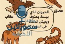 حيوانات تبدأ بحرف العين: قائمة ممتعة ومفيدة للأطفال والكبار