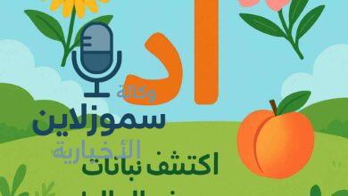 نبات بحرف د؛ موسوعة أسماء نباتات بحرف الدال بطريقة سهلة وممتعة
