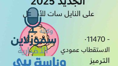 تردد قناة وناسة بيبي الجديد 2025 على النايل سات للأطفال