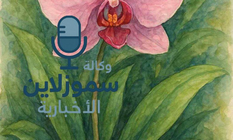 زهرة الاوركيد: أسرار الجمال الملكي للنبات الأكثر سحرًا في العالم