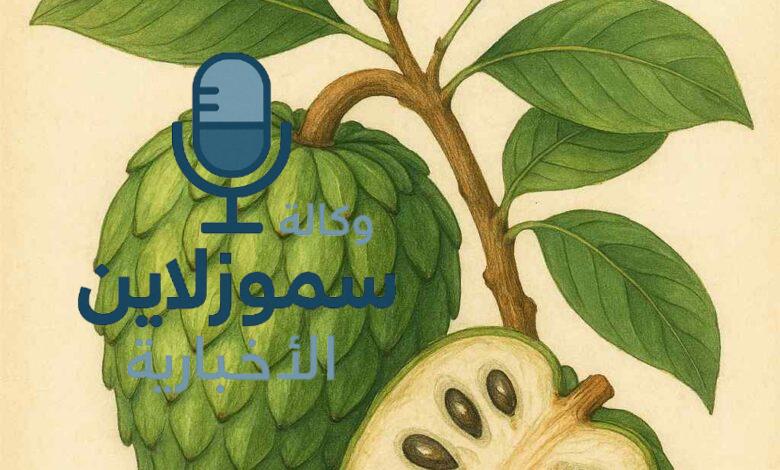 فاكهة القشطة في مصر: أماكن بيعها وفوائدها وطريقة تناولها