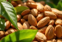 لن تستغني عنه بعد اليوم.. تعرف على فوائد اللوز الهندي